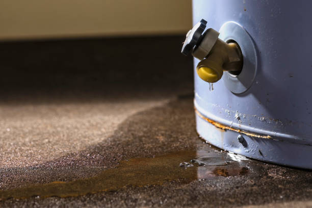 Best Carpet water damage restoration  in Bonsall, CA