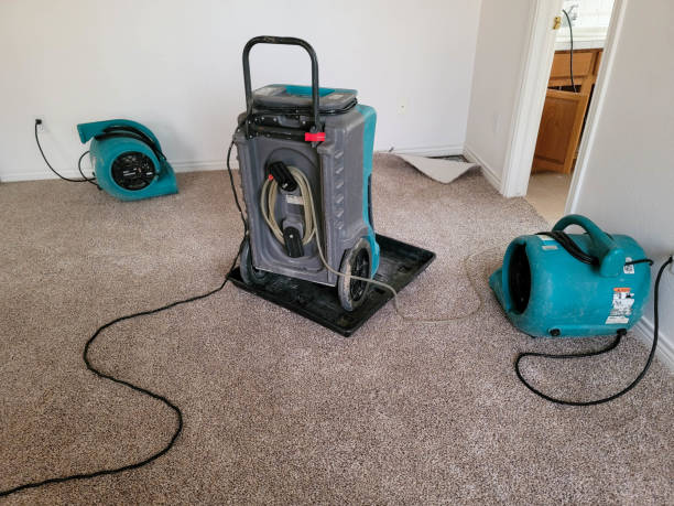 Best Ceiling water damage repair  in Bonsall, CA