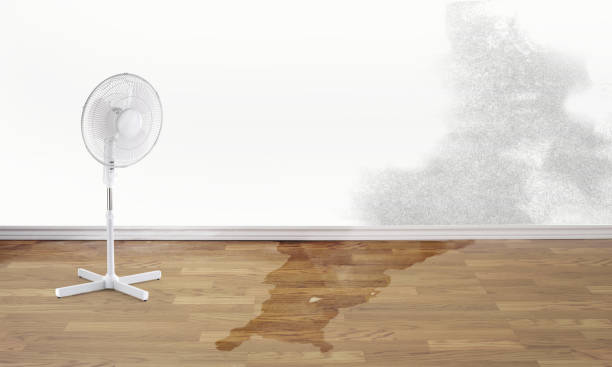 Best Sewage cleanup and water damage restoration  in Bonsall, CA