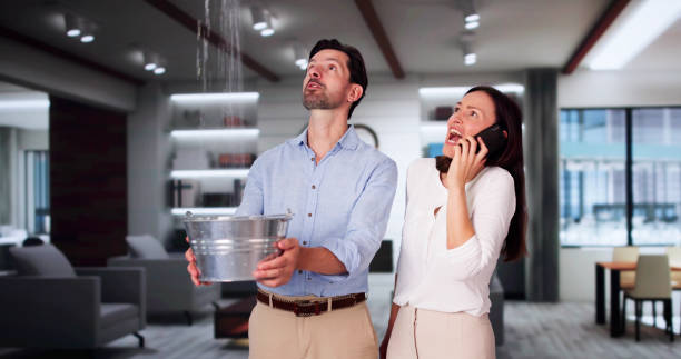 Best Water damage restoration process  in Bonsall, CA